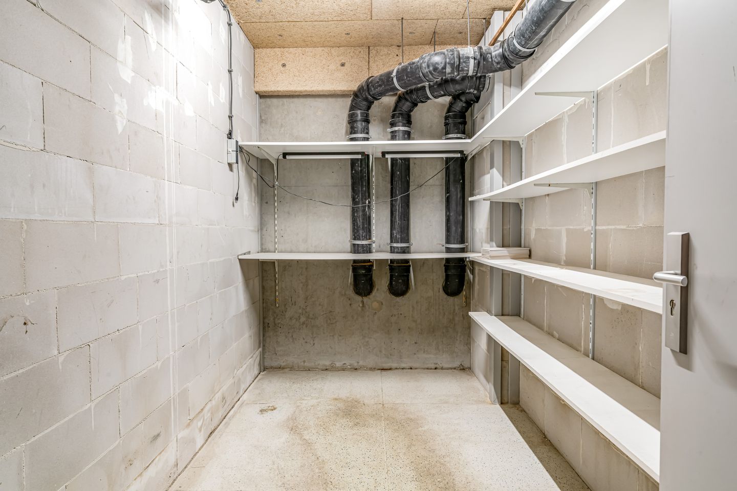 Photo 29 of Wijnruitstraat 421