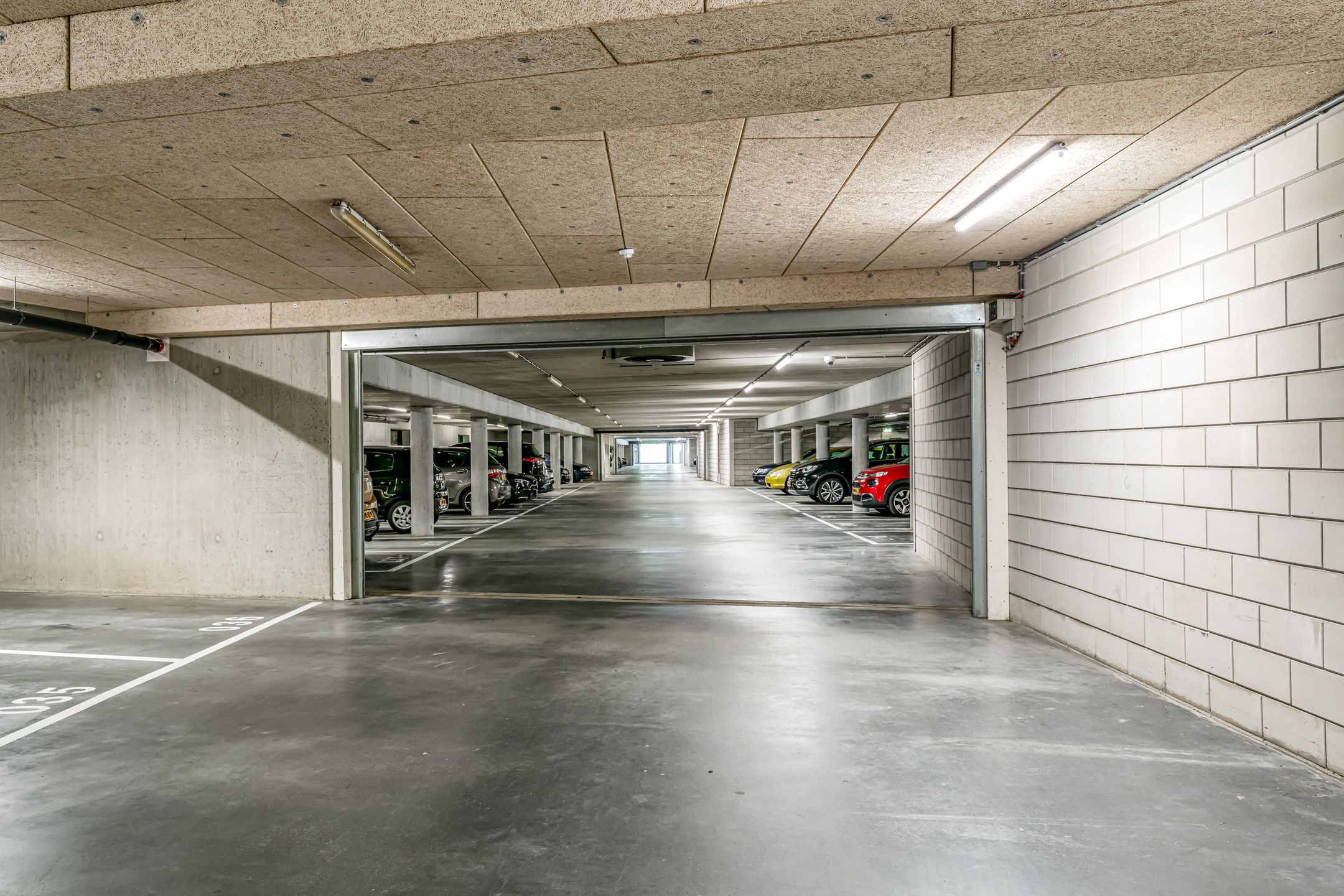 Photo 30 of Wijnruitstraat 421