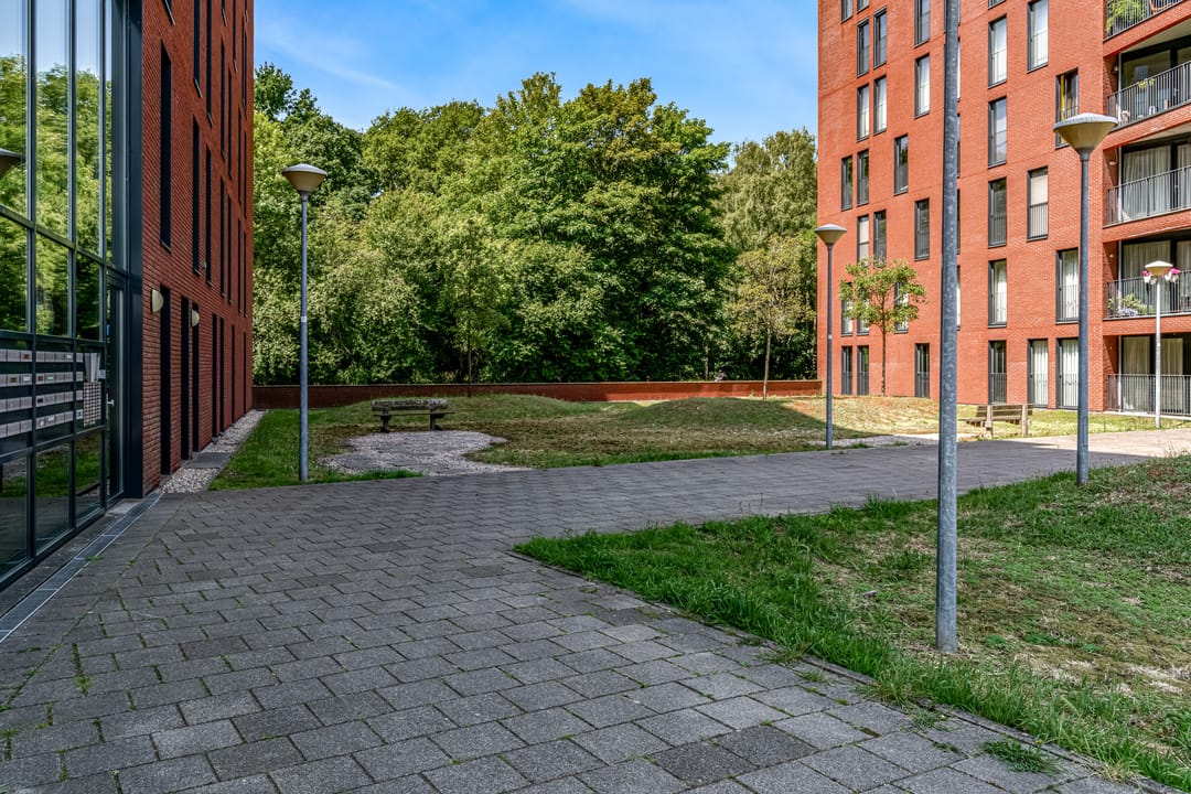 Photo 32 of Wijnruitstraat 421