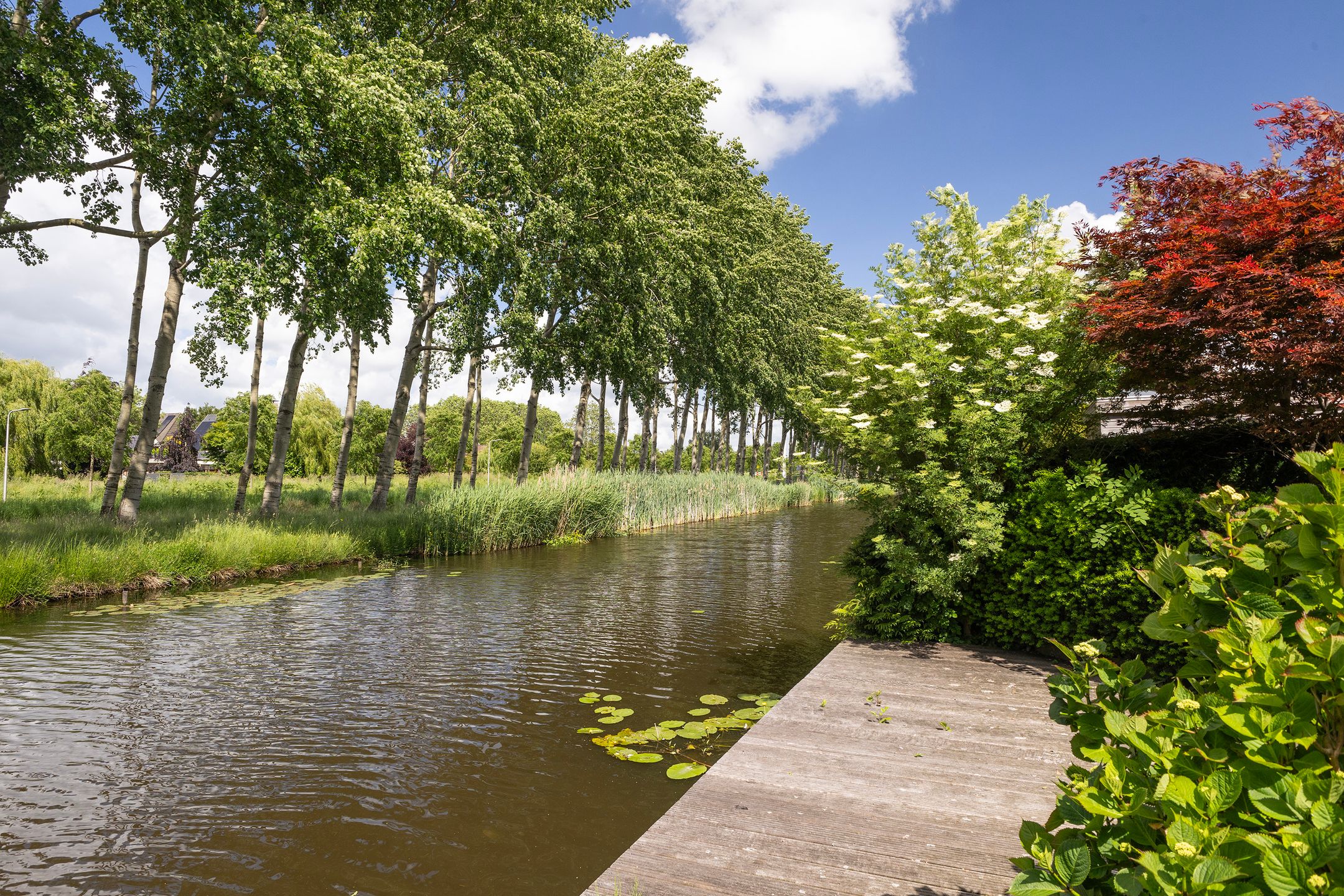 Foto 42 van Harkemastate 21