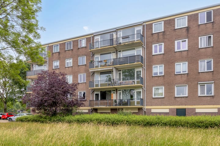 Foto 6 van Maassingel 258