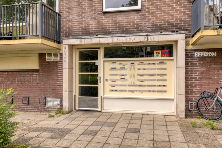 Foto 8 van Maassingel 258