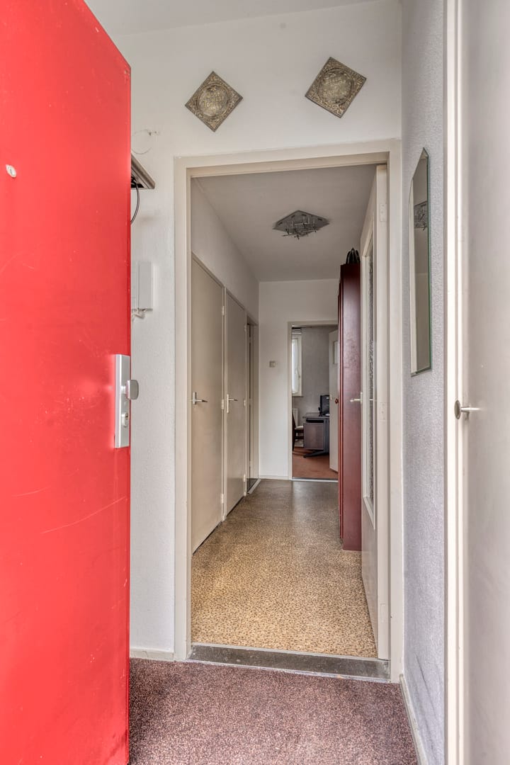 Foto 10 van Maassingel 258