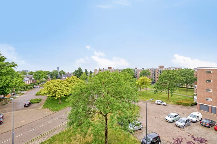 Foto 15 van Maassingel 258