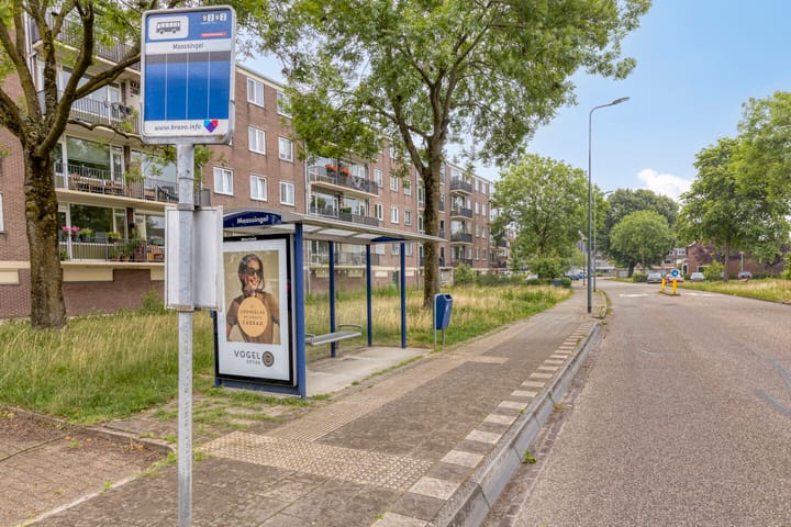 Foto 29 van Maassingel 258