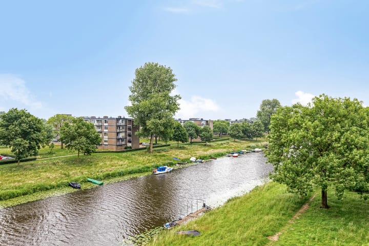 Foto 30 van Maassingel 258