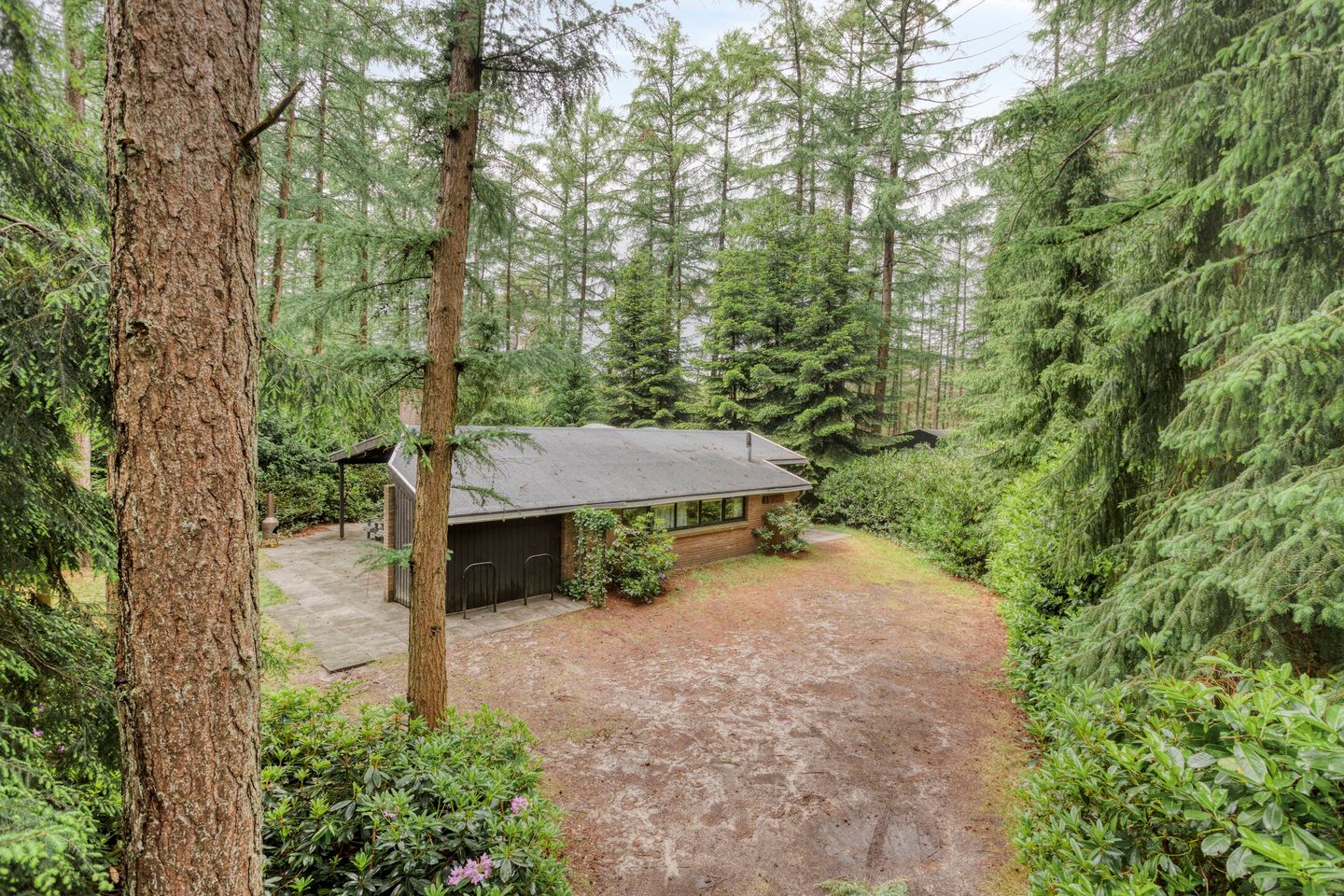 Foto 4 van Hogeveldsweg 26-251