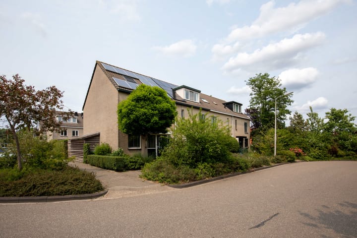 undefined main image