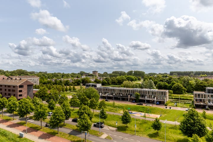 Photo 19 of Rottumeroog 60