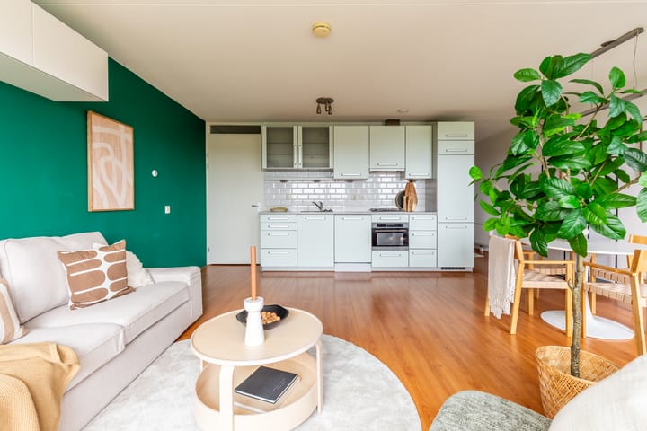 Photo 21 of Rottumeroog 60