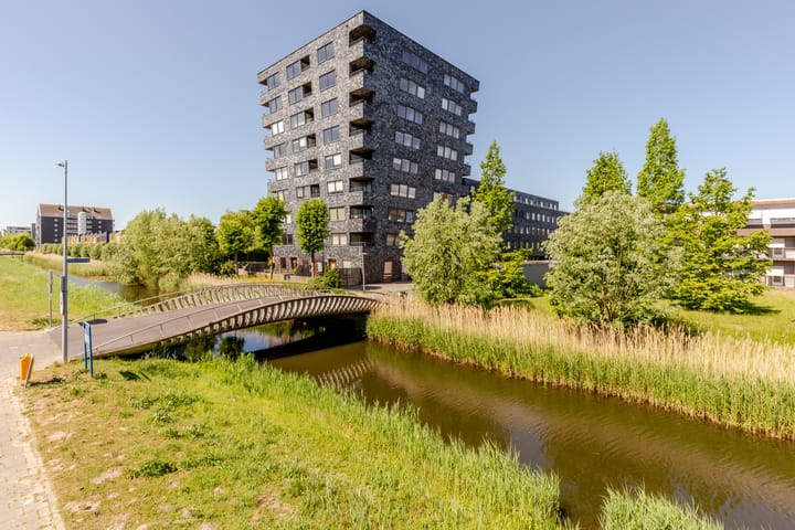 Photo 22 of Rottumeroog 60