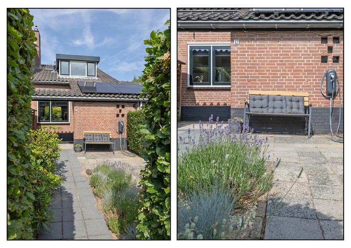 Foto 3 van Krekelmeent 12