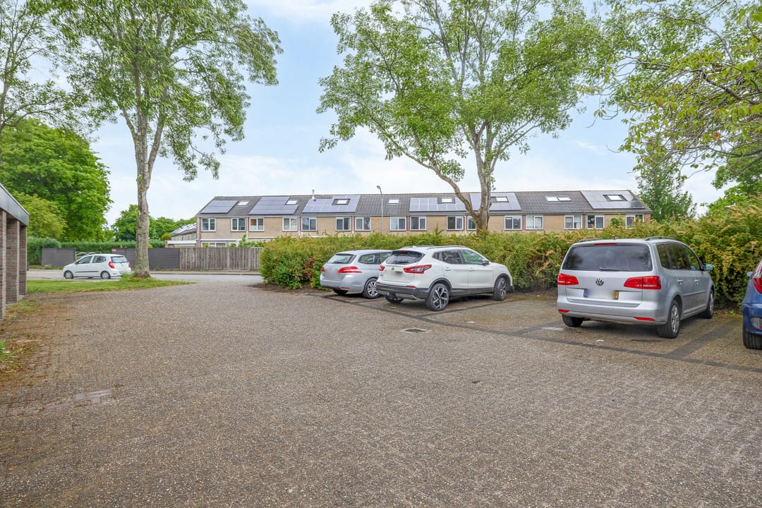 Photo 28 of Atlas 28