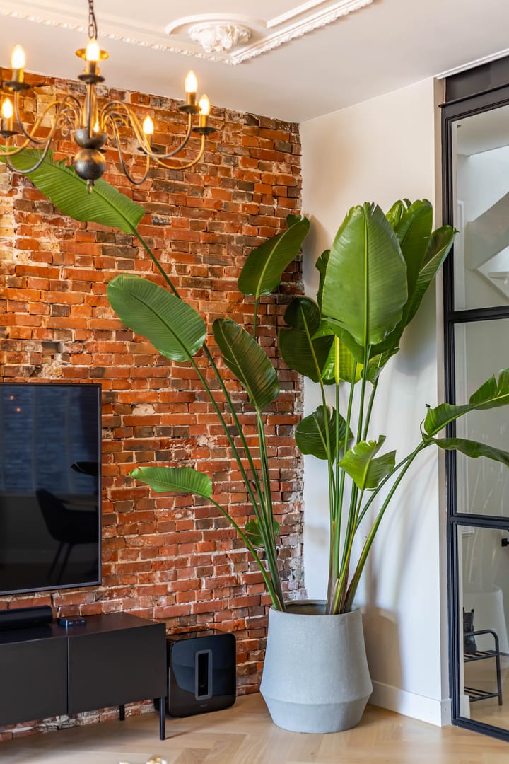 Foto 12 van Verlengde Hereweg 7-A