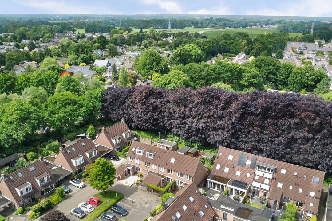 Foto 41 van Rengersland 24