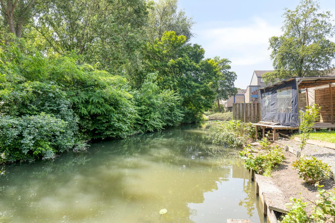 Foto 32 van Antilopespoor 512