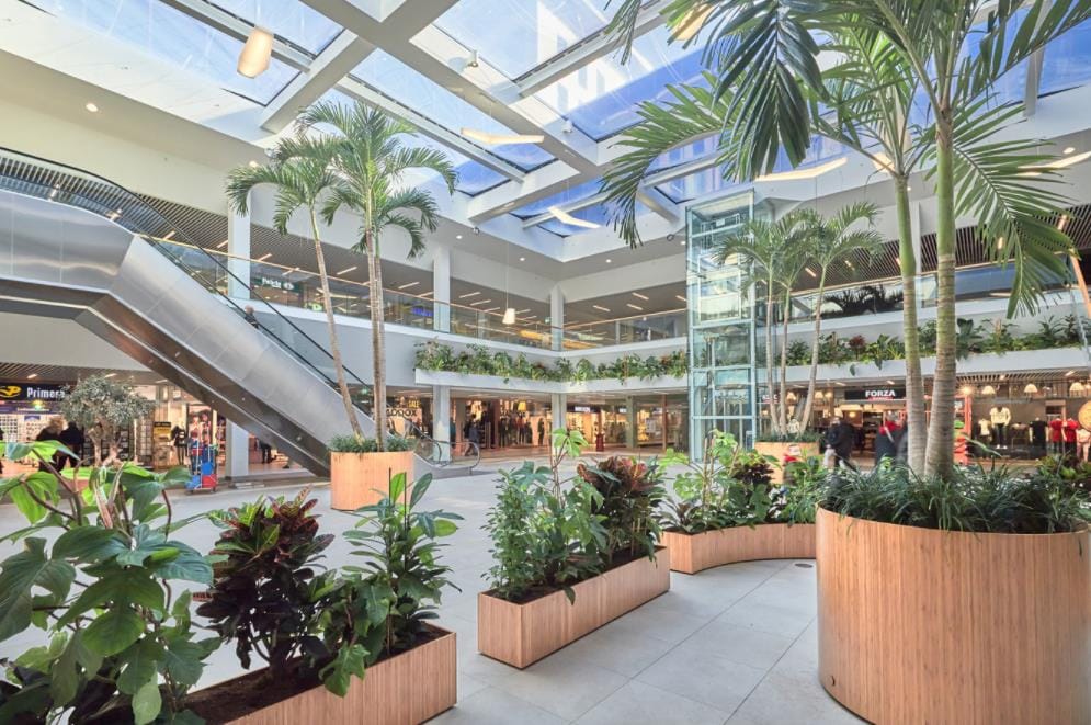 Foto 36 van Antilopespoor 512