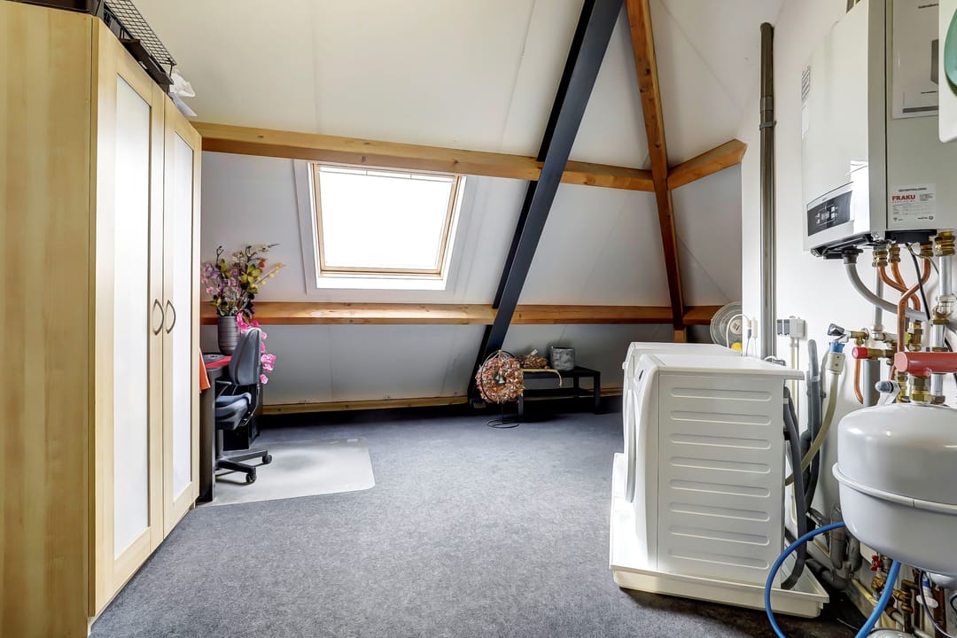 Photo 23 of Akelei 17