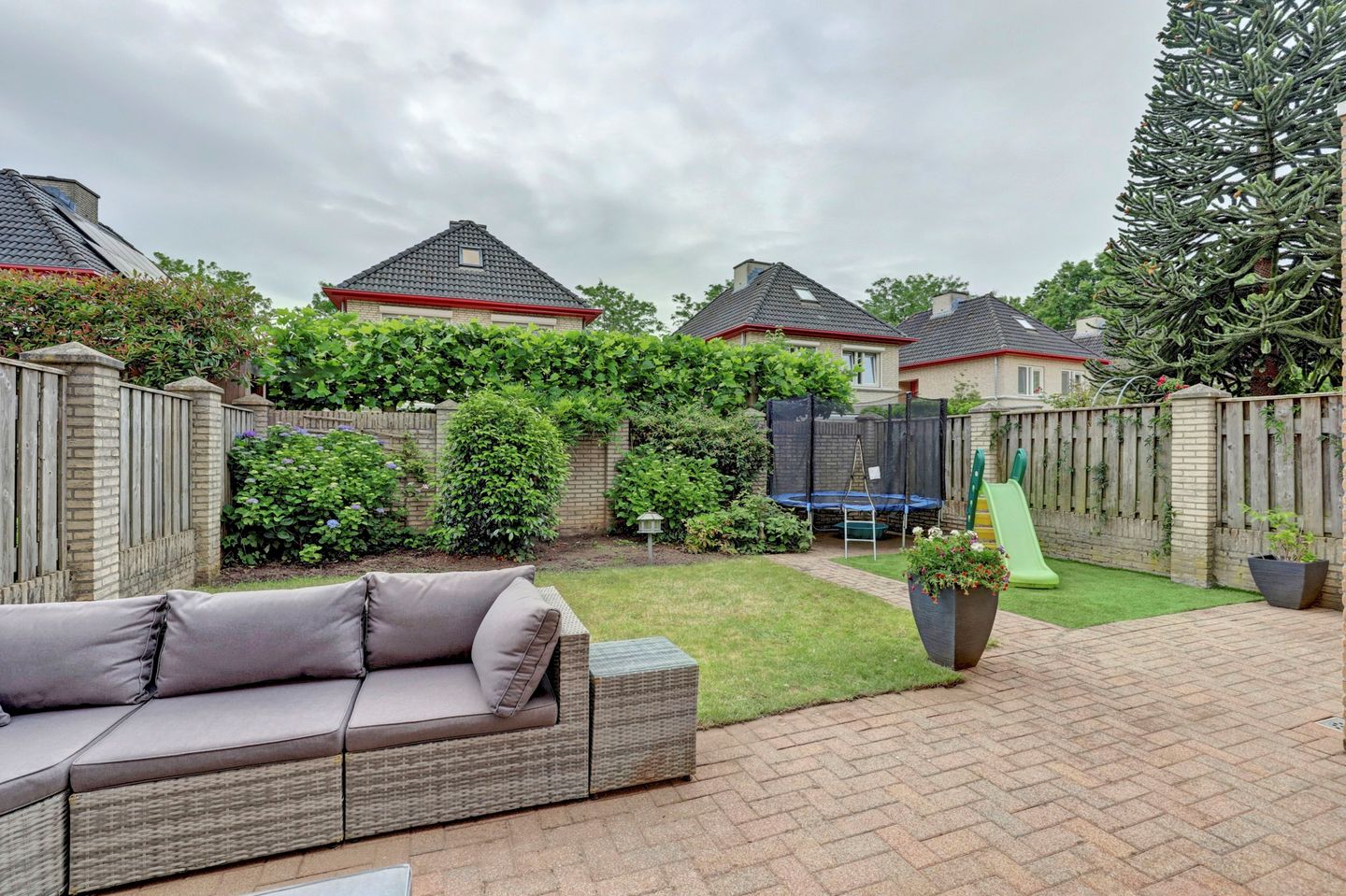 Photo 29 of Akelei 17