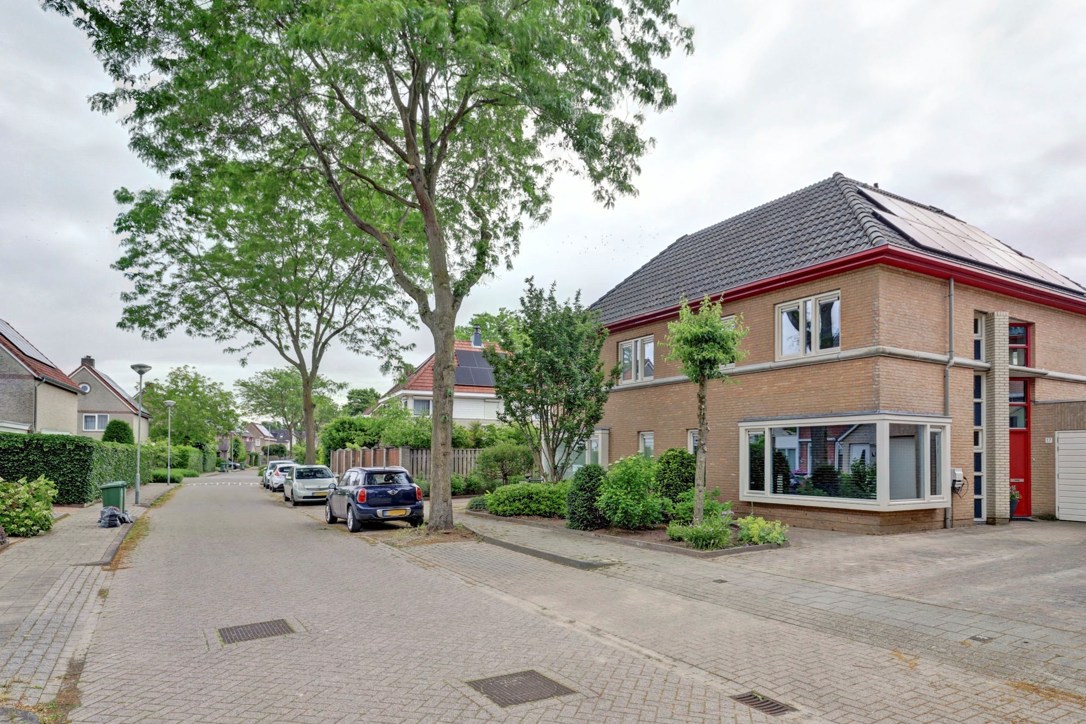 Photo 33 of Akelei 17