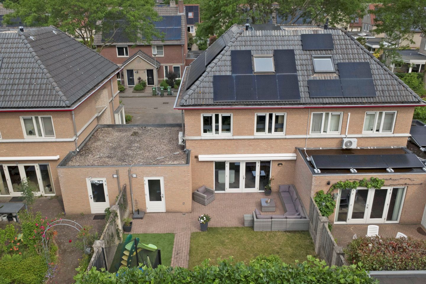 Photo 34 of Akelei 17