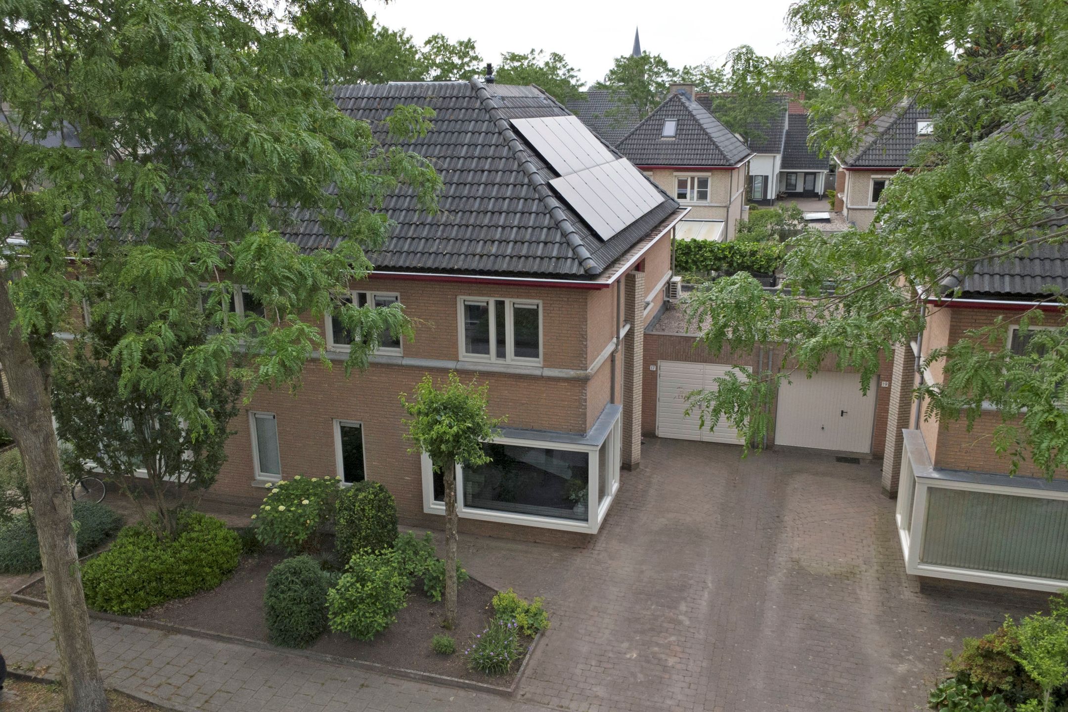 Photo 36 of Akelei 17