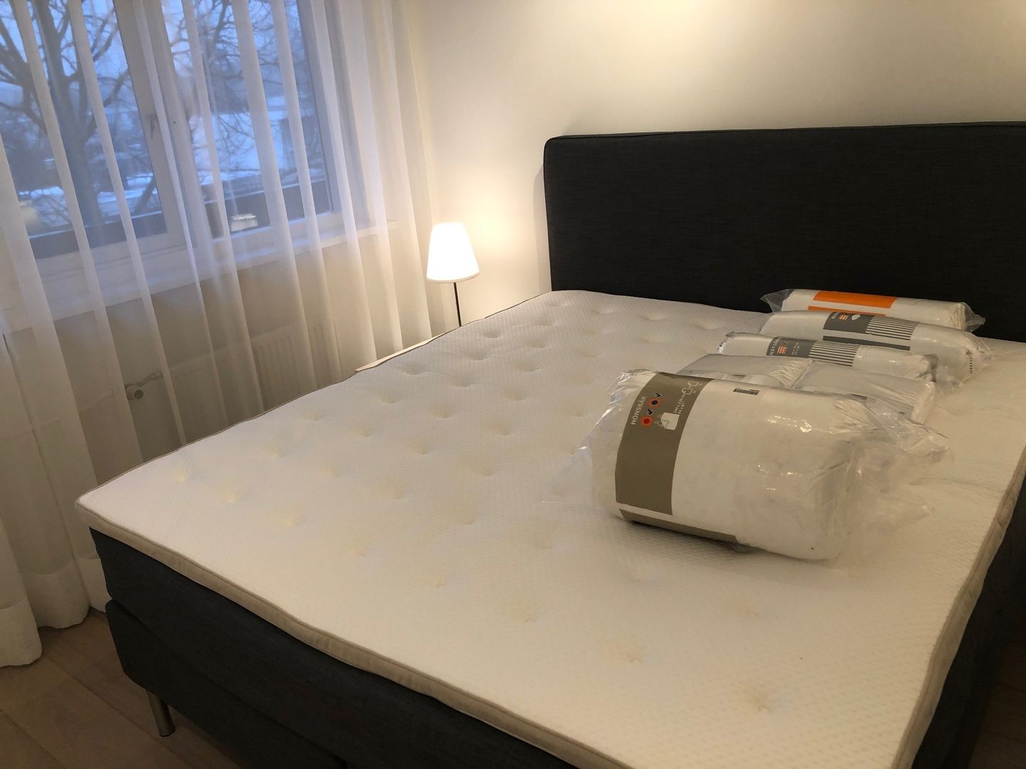 Foto 10 van Bolestein 162