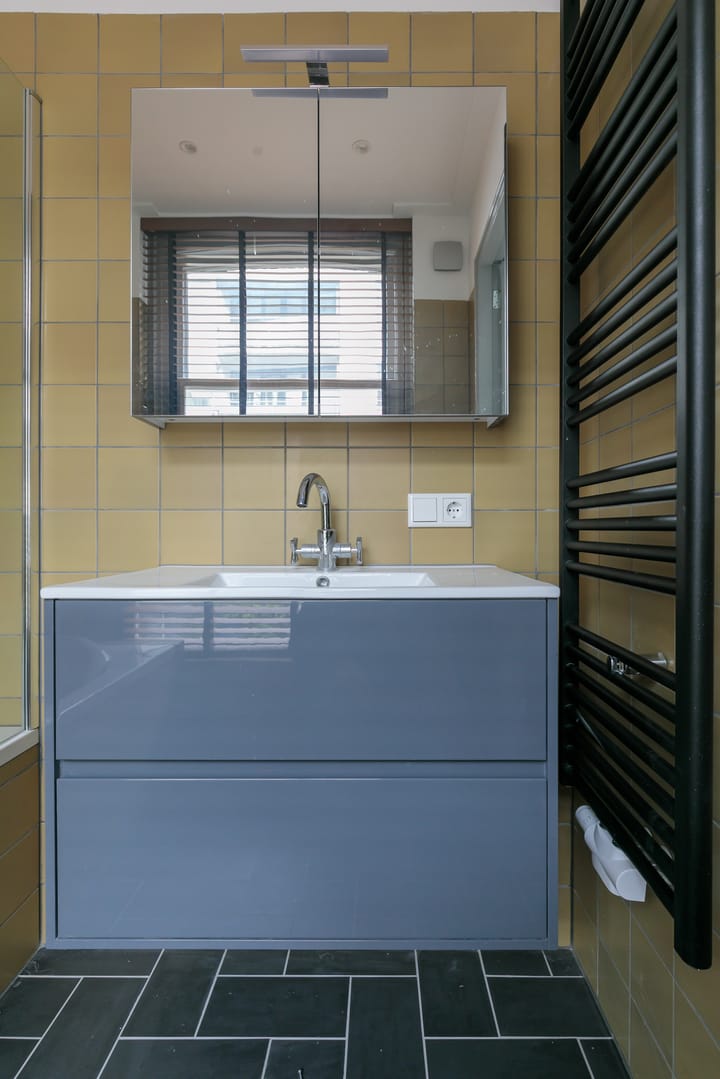 Foto 19 van Tweede Jan Steenstraat 84-1