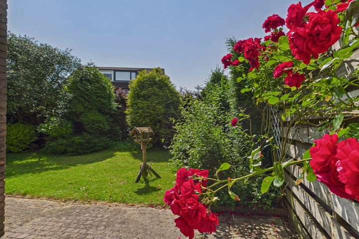 Foto 33 van Roompot 25