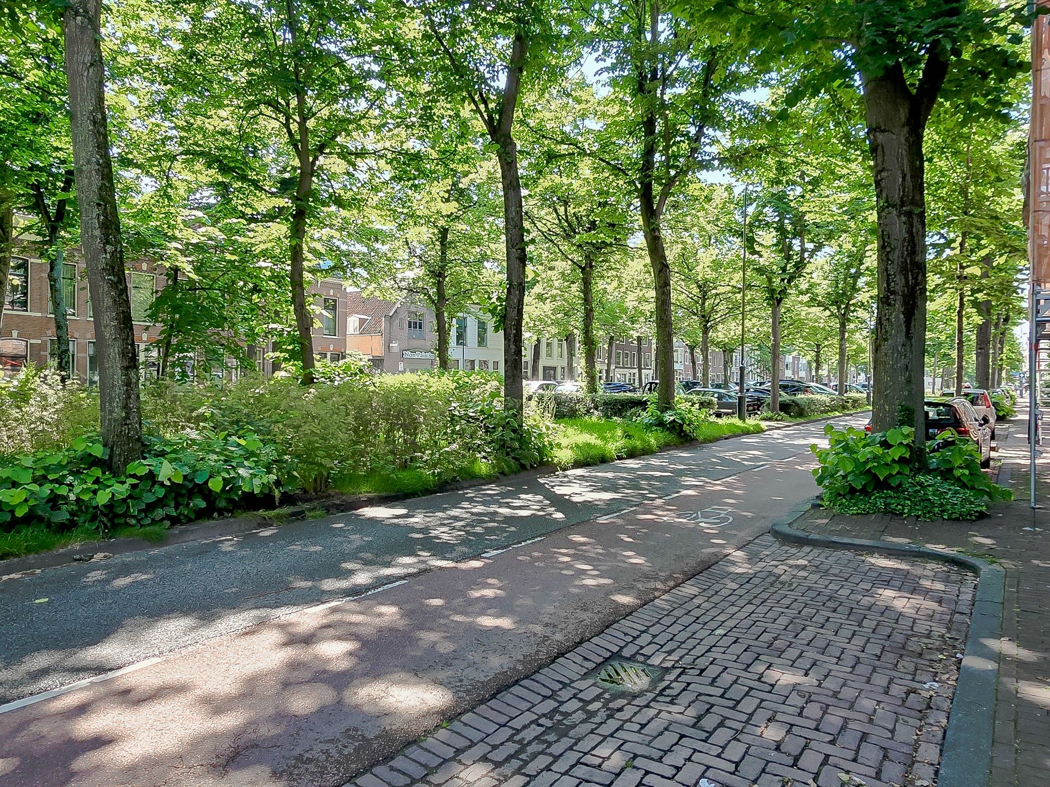 Foto 21 van Parklaan 97-B