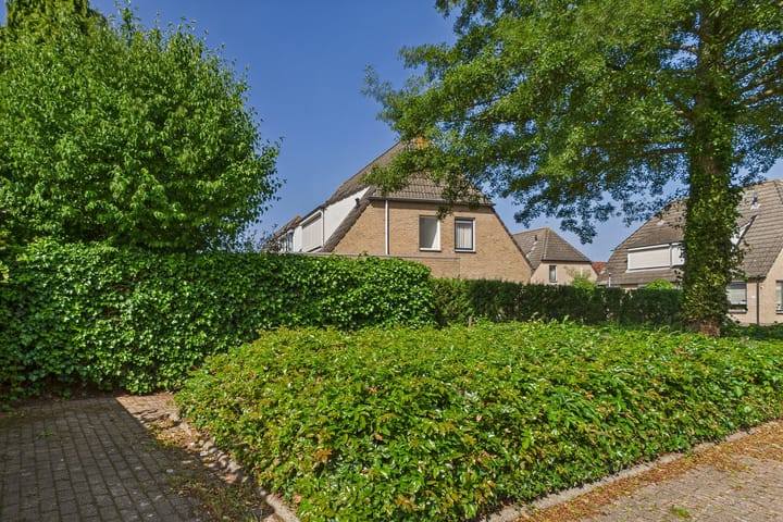 Foto 39 van Roompot 25