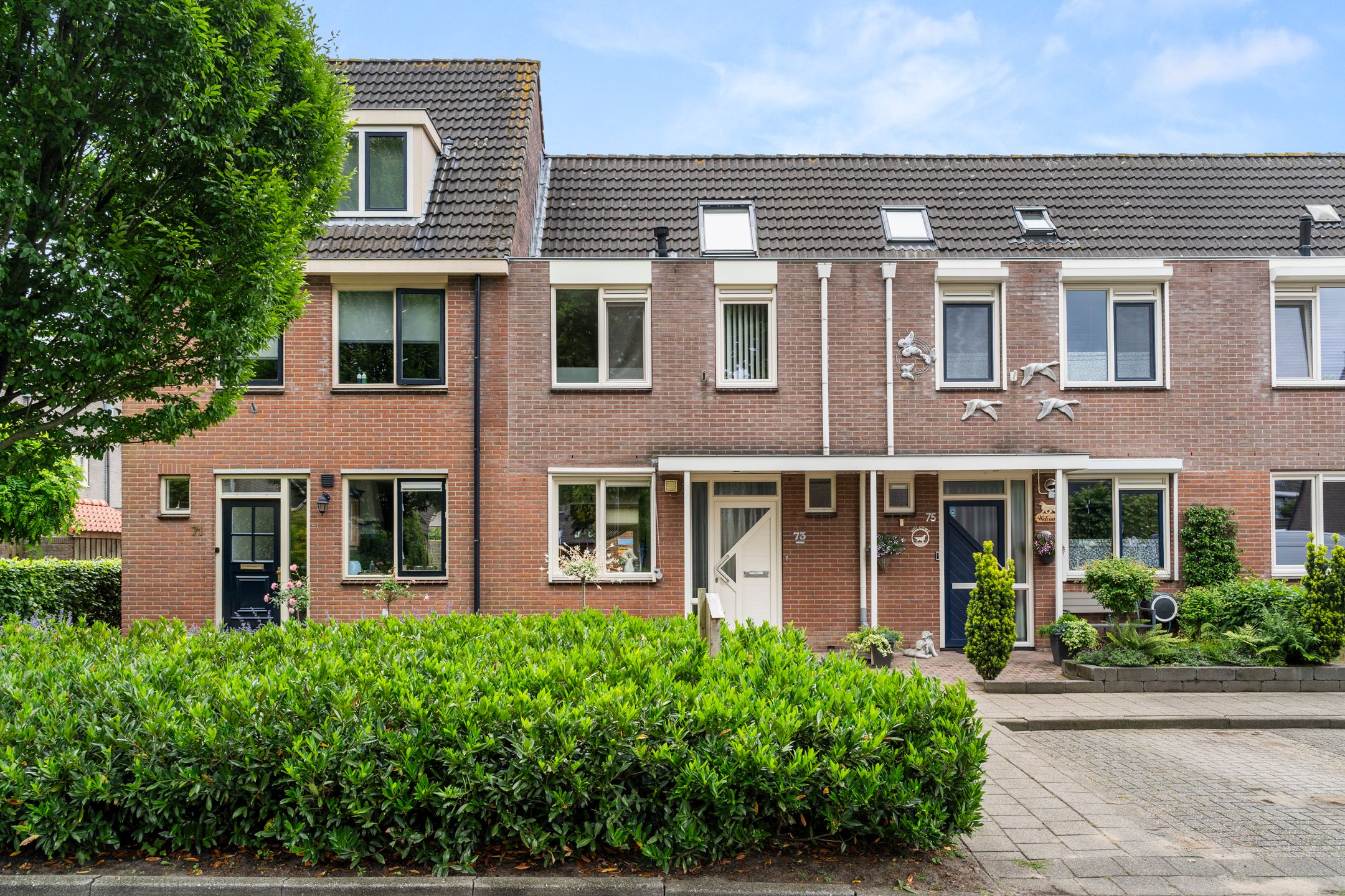 Photo 3 of Bereklauw 73