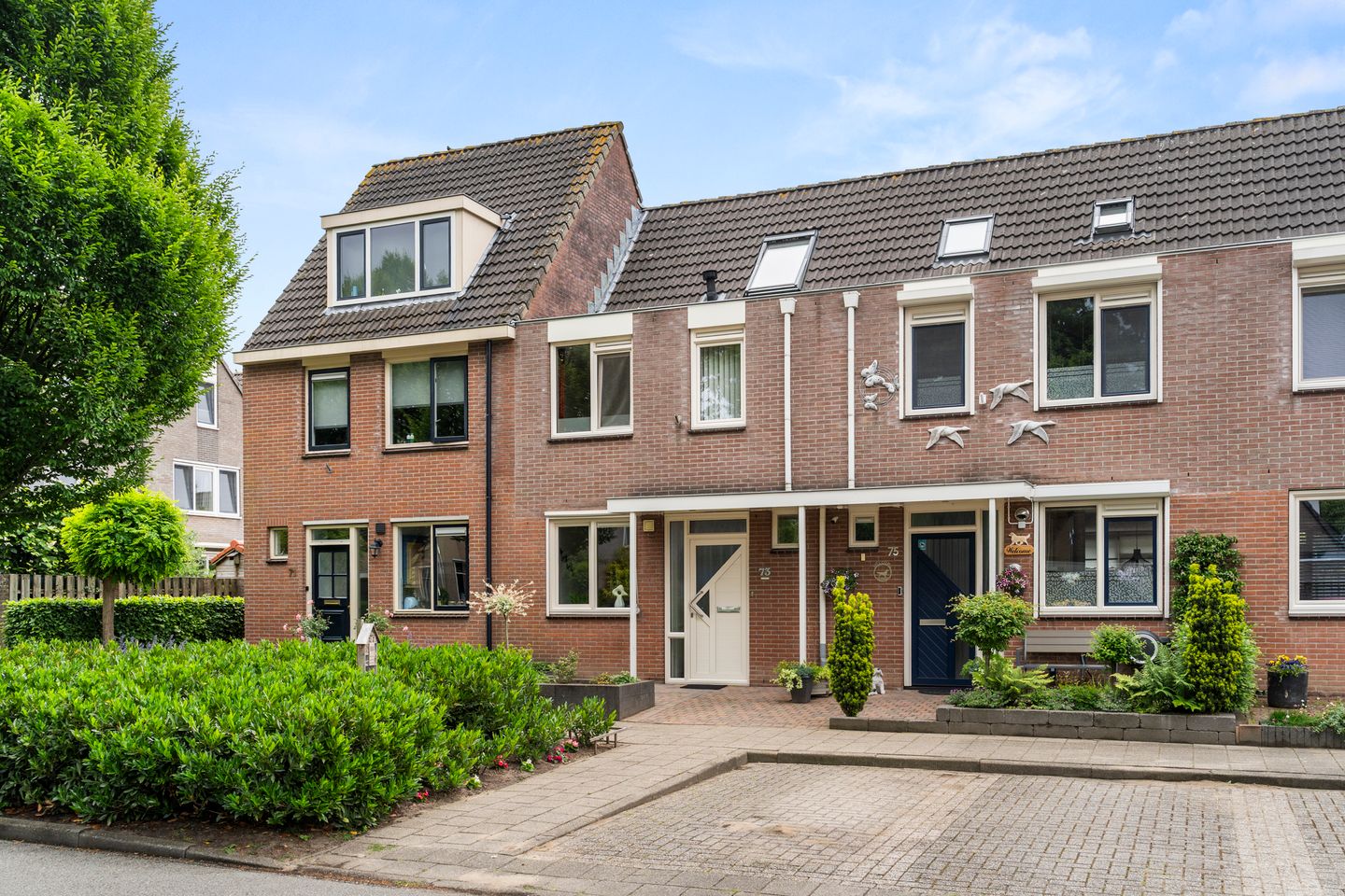 Photo 4 of Bereklauw 73