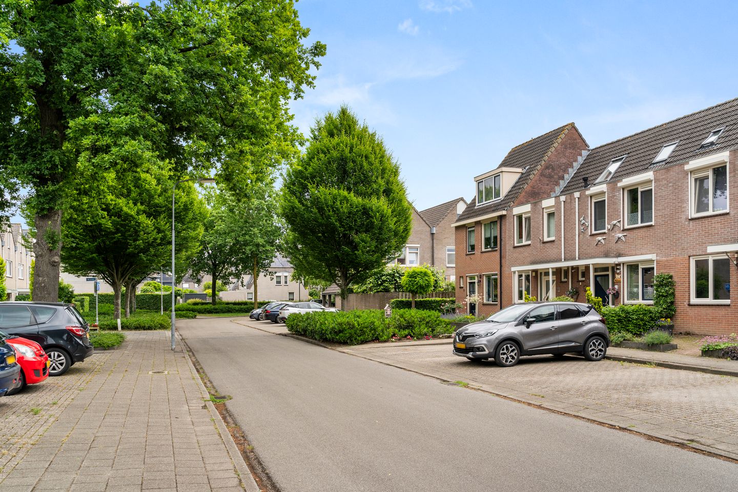 Photo 5 of Bereklauw 73