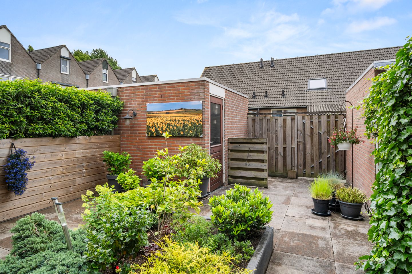 Photo 10 of Bereklauw 73