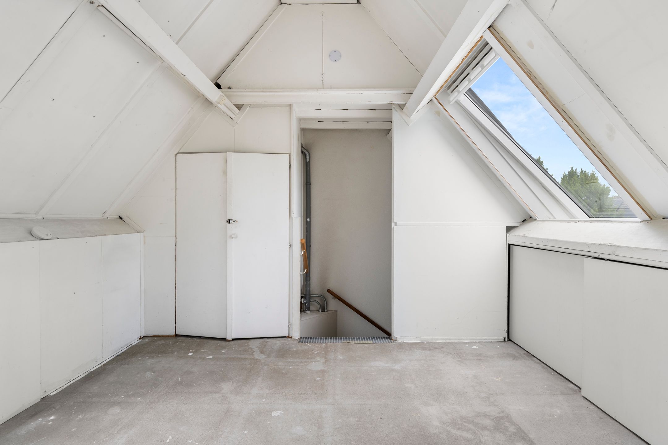 Photo 33 of Bereklauw 73