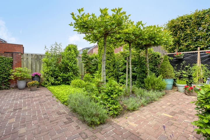 Foto 27 van Rabarberveld 21