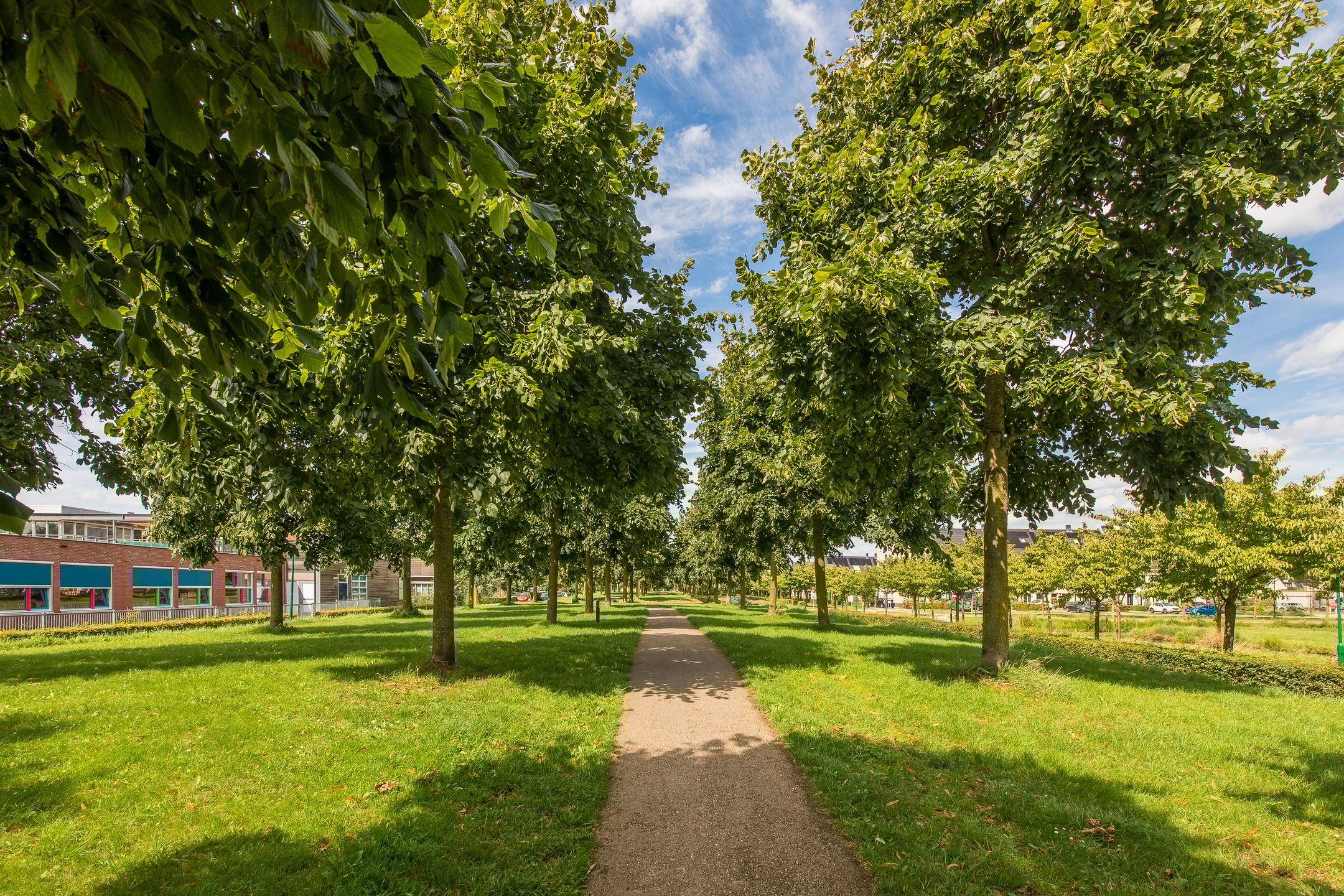 Foto 30 van Draagmuur 86