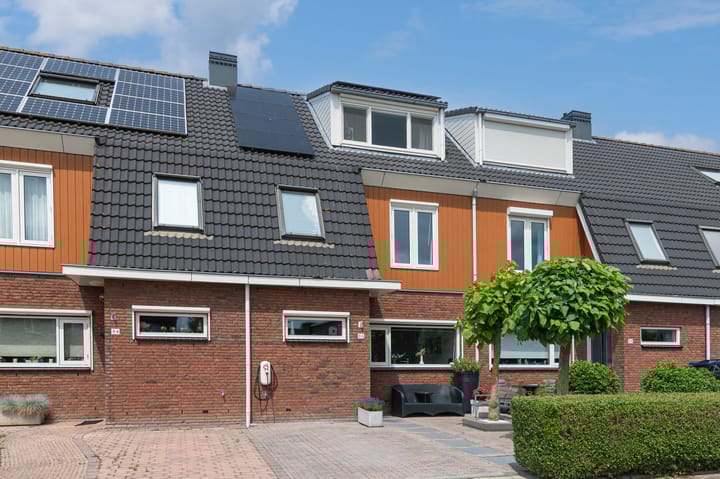 undefined main image