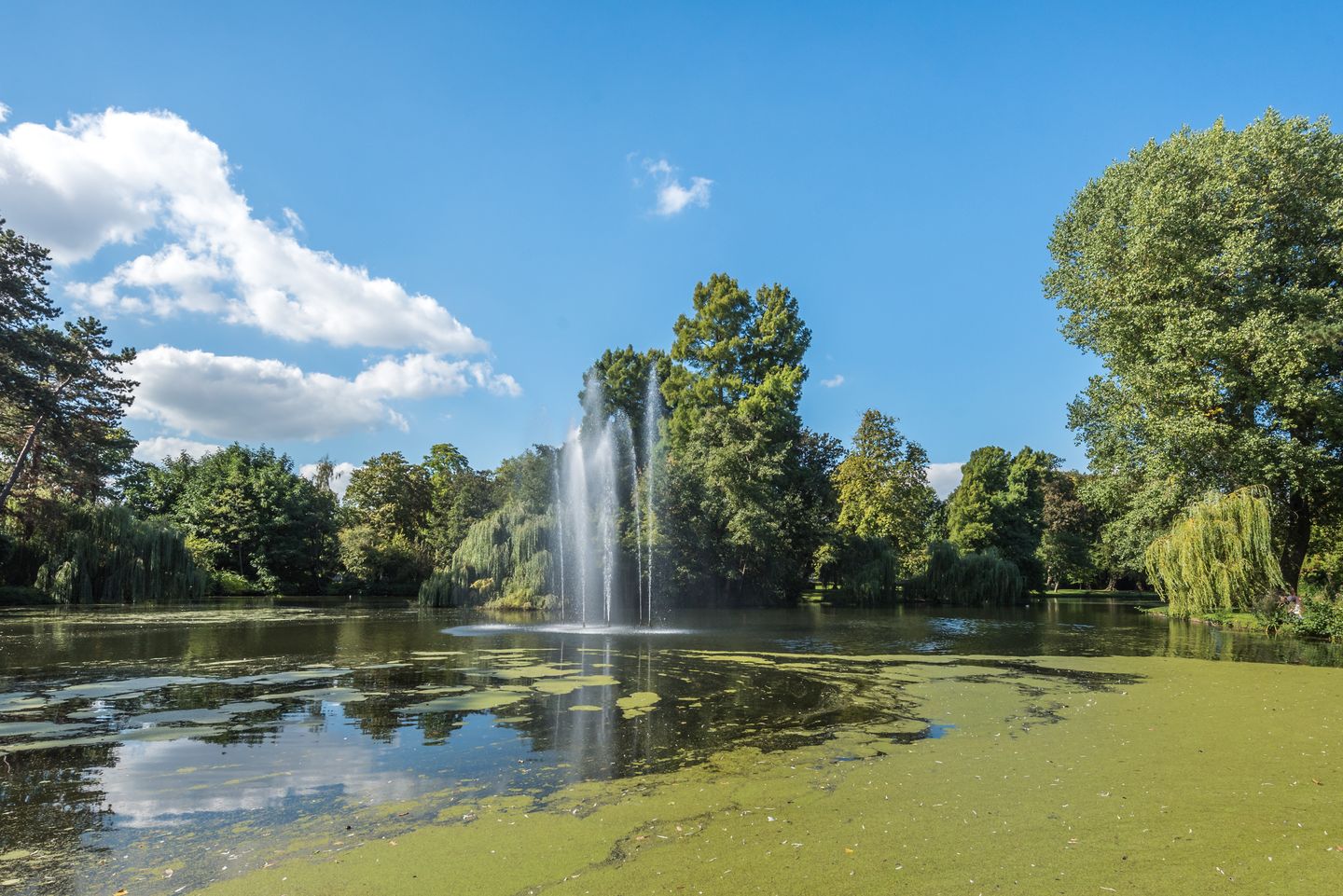 Foto 34 van Oudwijkerdwarsstraat 75