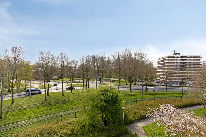 Foto 17 van Orion 91