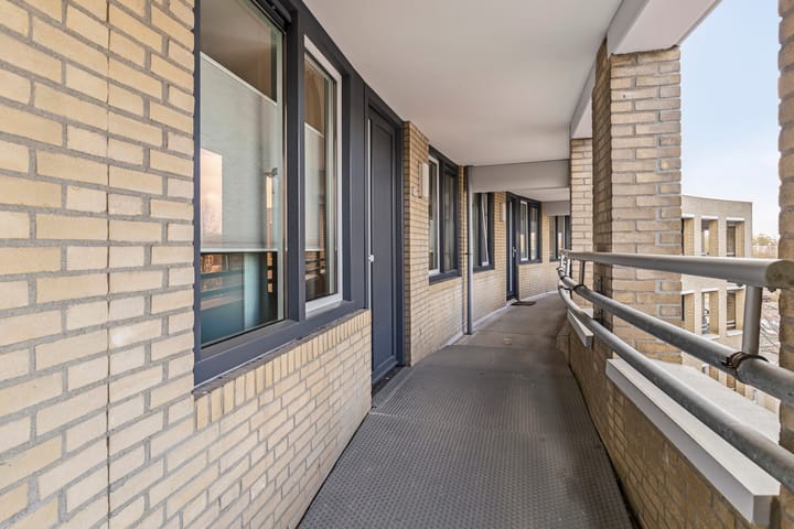 Foto 21 van Orion 91