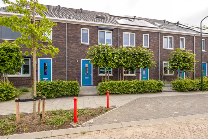 undefined main image