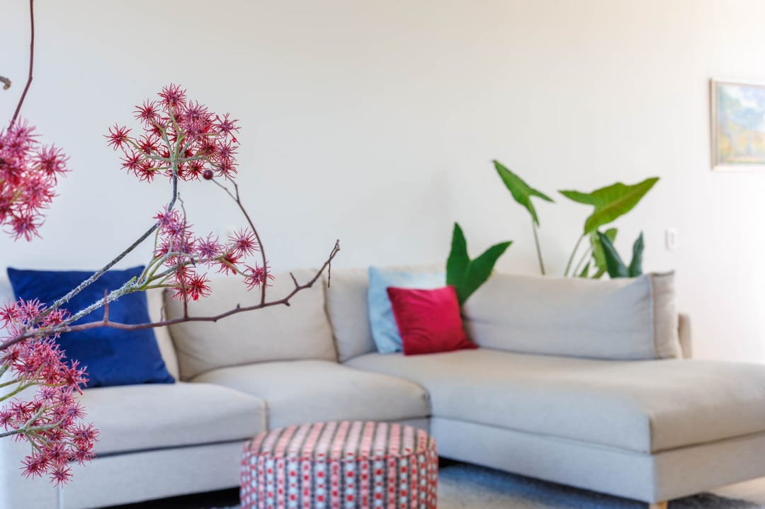 Foto 31 van Drie Octoberstraat 15-A