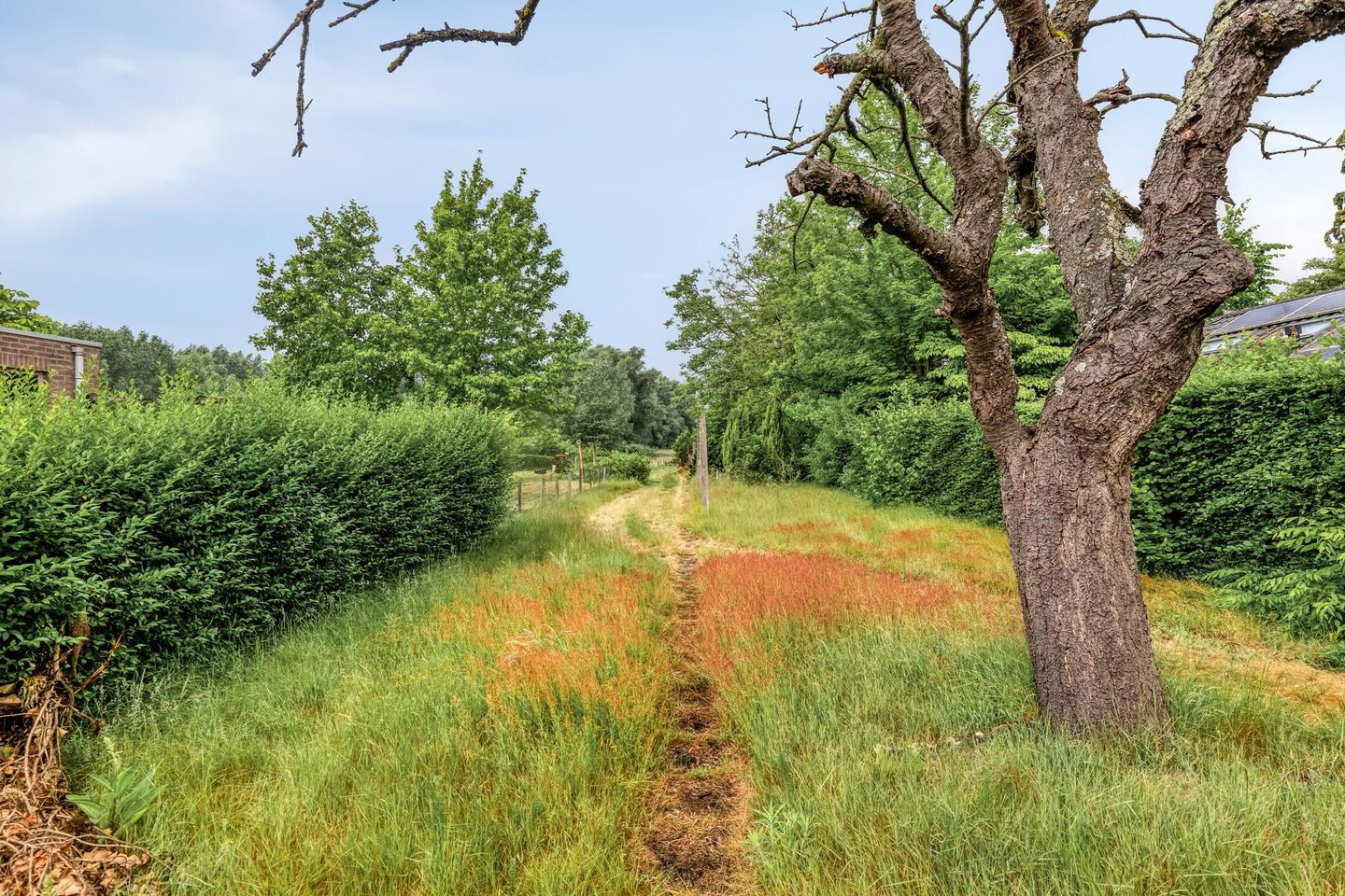 Photo 19 of Sint Genovevastraat 30