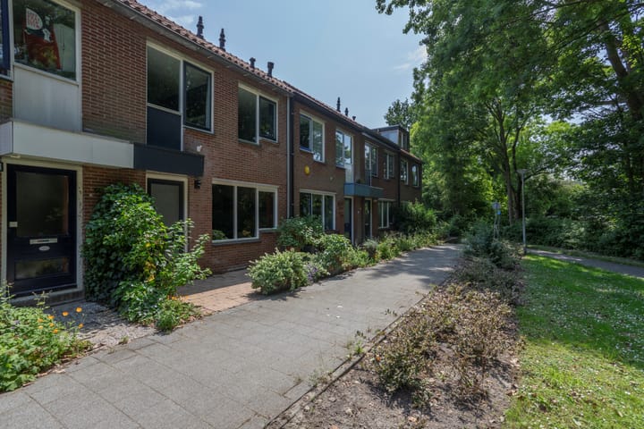 Foto 1 van Blauwe Reiger 4