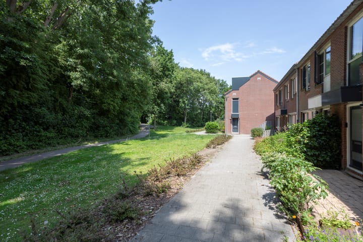 Foto 7 van Blauwe Reiger 4