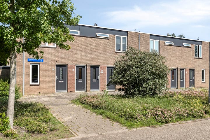 undefined main image