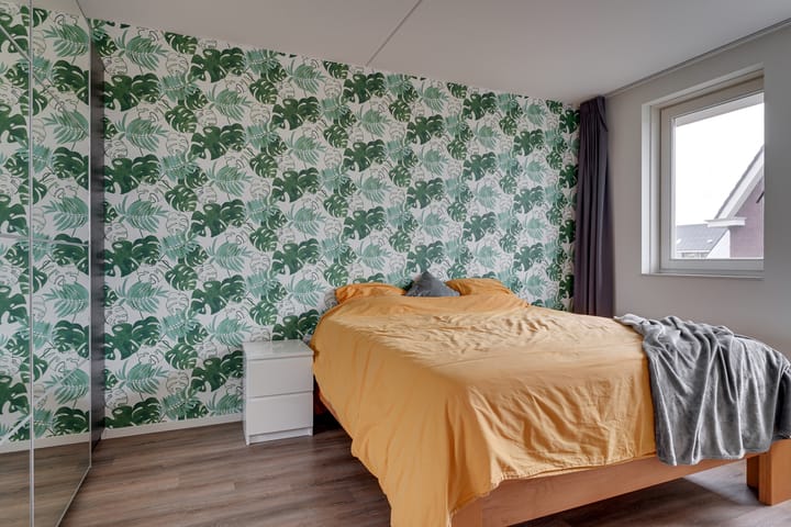 Foto 19 van Lisdodde 64