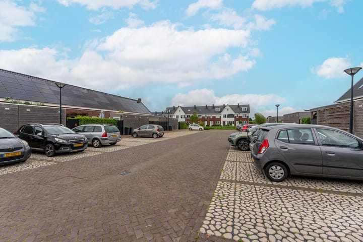 Foto 38 van Lisdodde 64